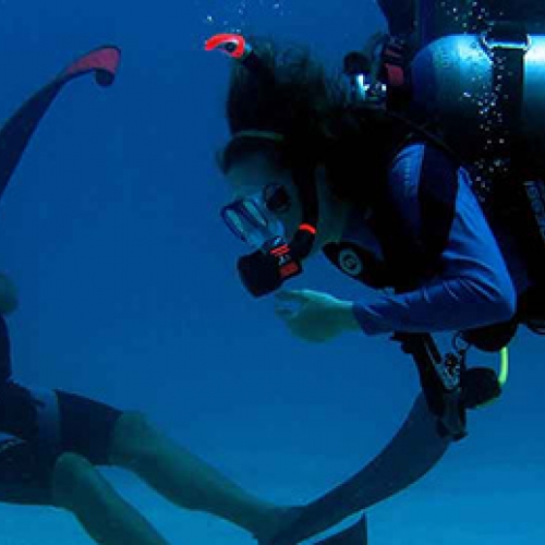 Divemaster Certification