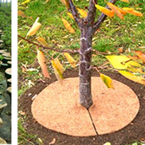 coconut coir garden products